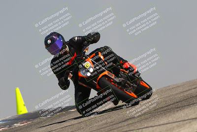 media/Aug-03-2025-TrackDaz (Sun) [[bf4a71acf9]]/C Group/1140am (Grapevine)/